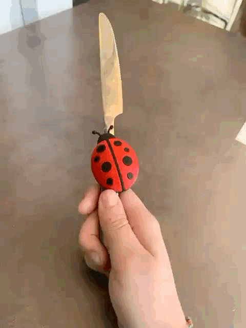 Lady bug magnet