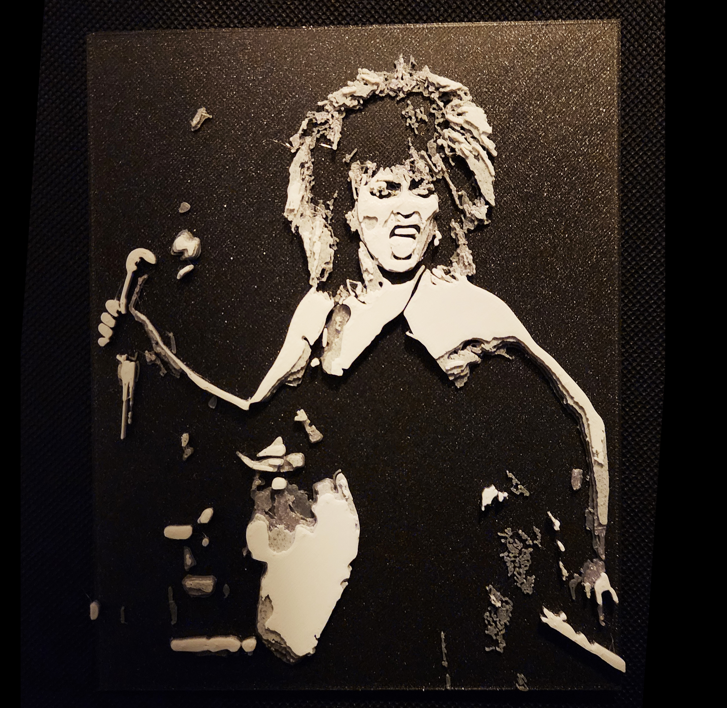 Tina Turner - 5 Color w/filament changes (1 at a time) relief topography