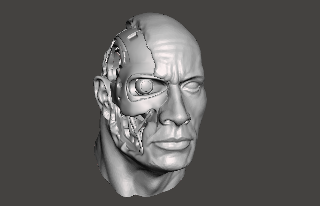 T-Rockhundret (T-800&TheRock)