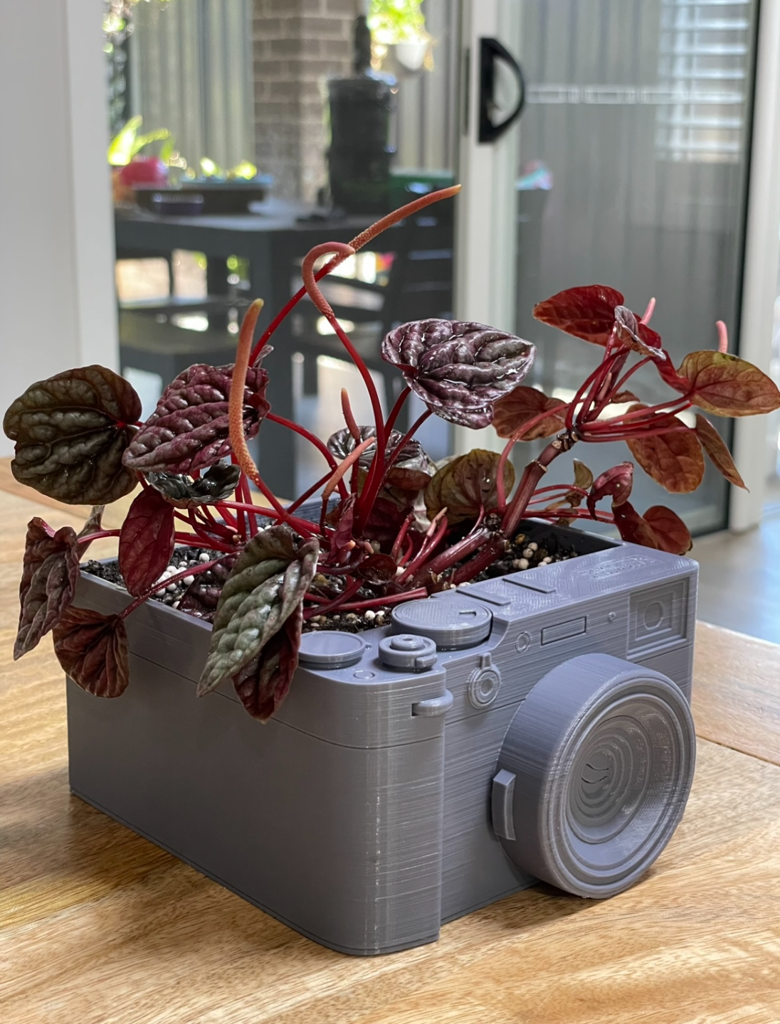 Fujifilm X100v 3D Planter
