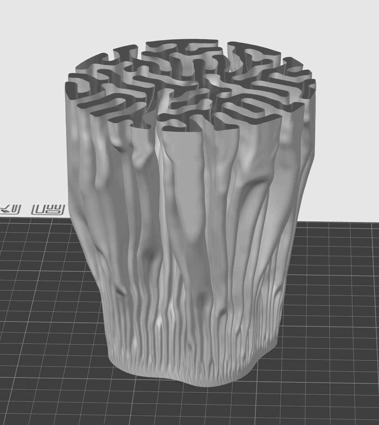 coral growth