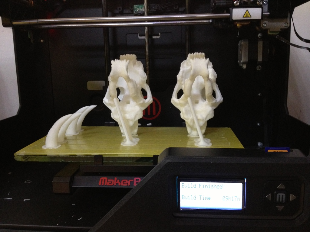 MiniSaberToothSkull_Fix_Support