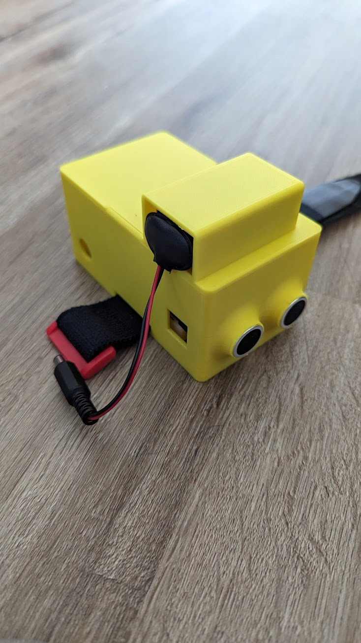 Project Blinsor