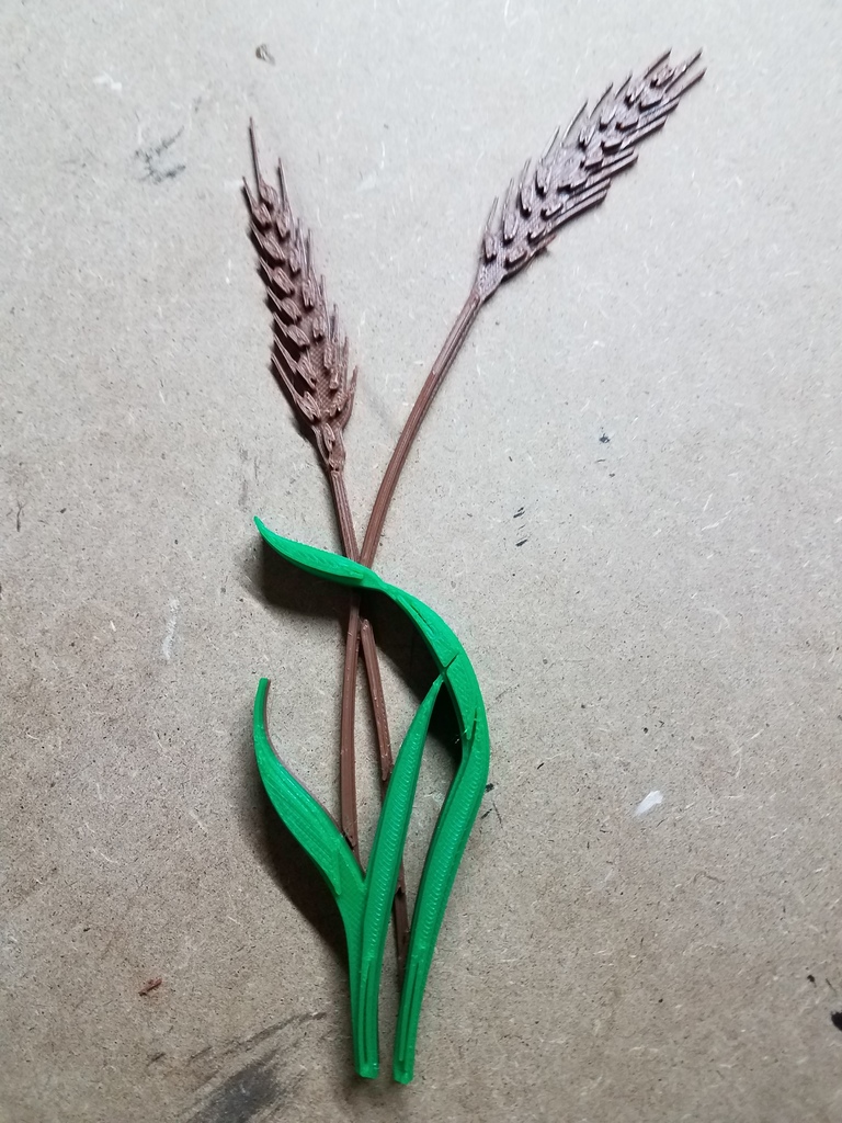 Wheat