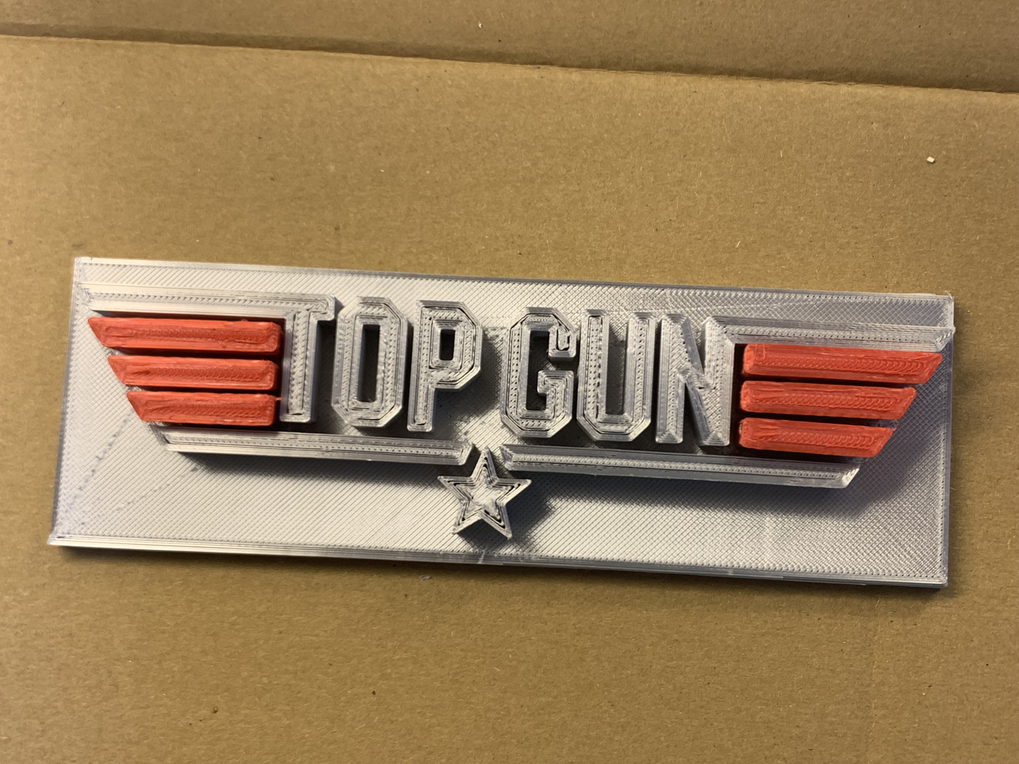 Top Gun Logo   2 color printing