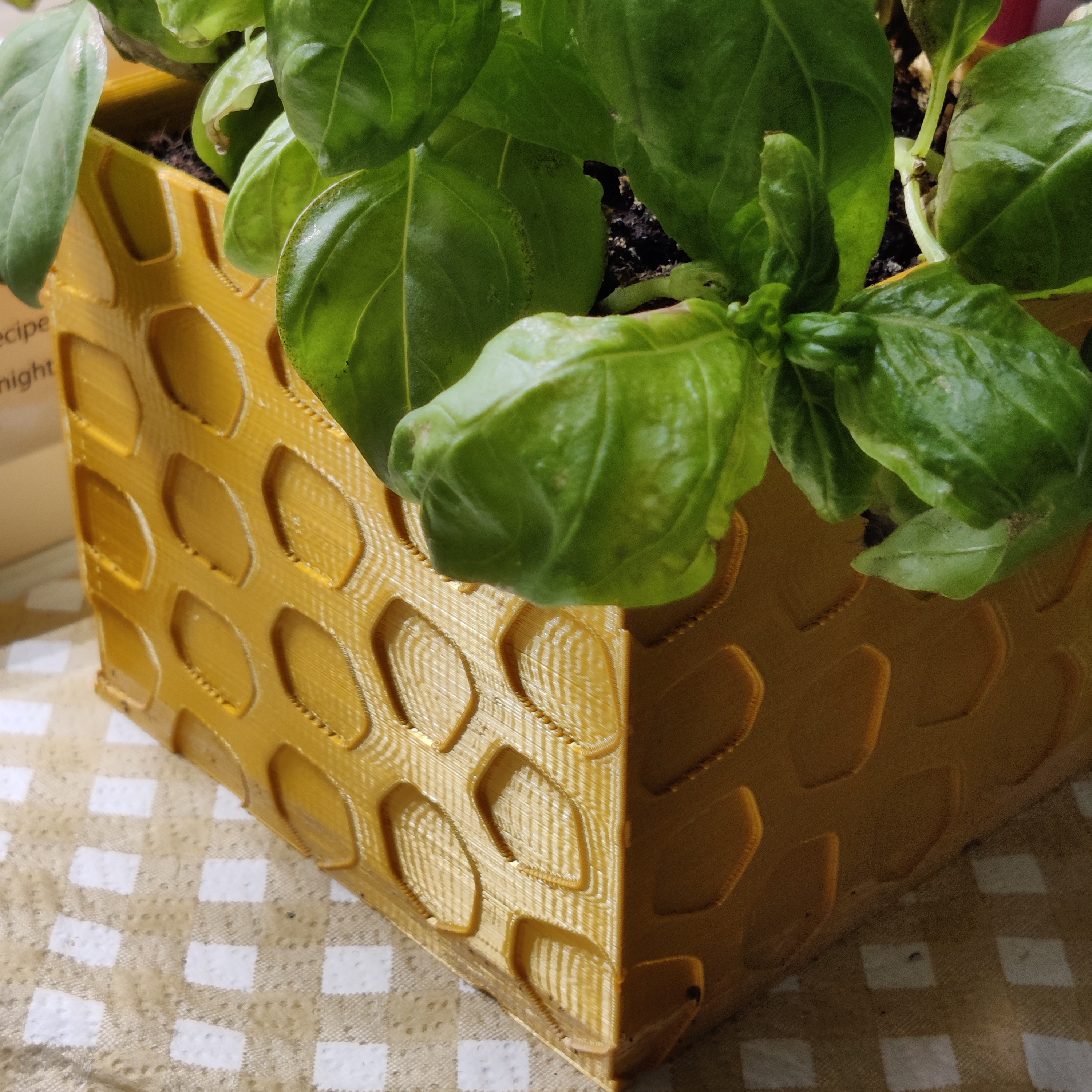 Voronoi Squared Pot