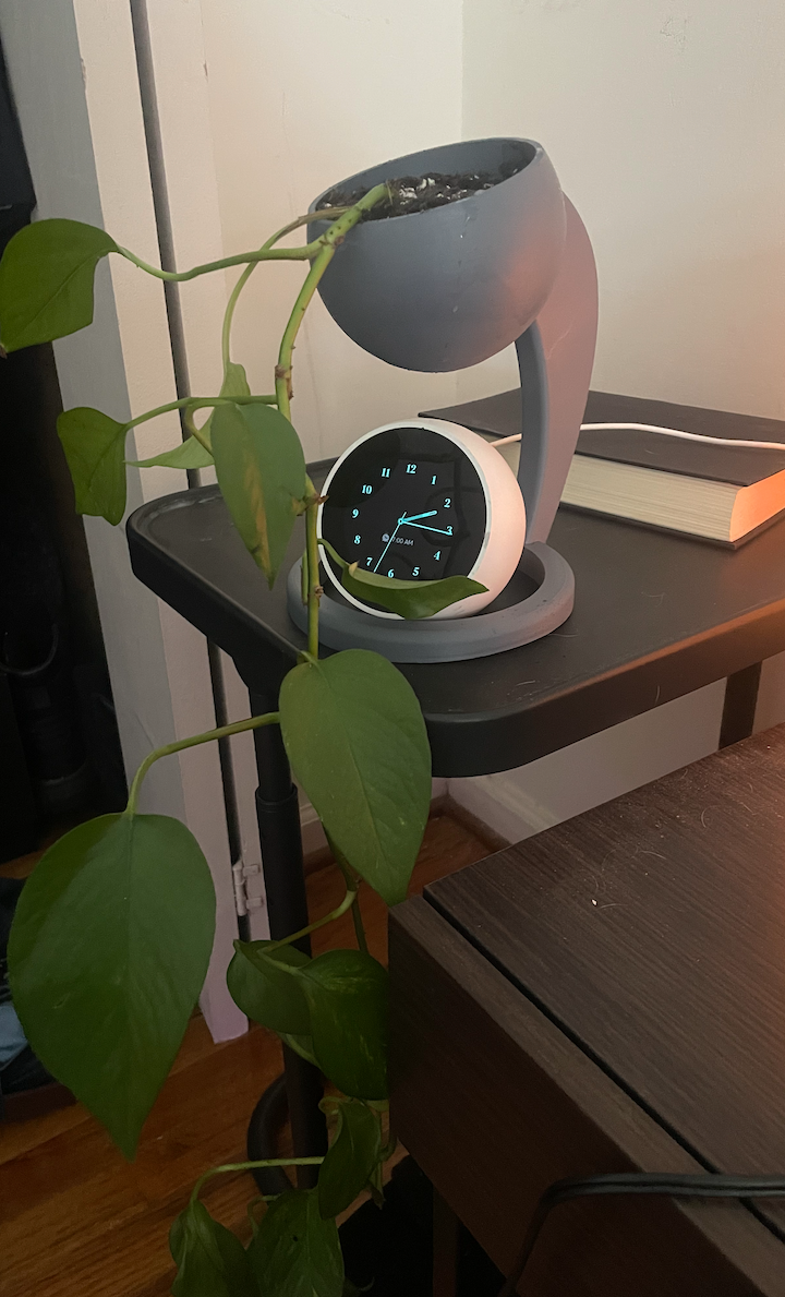 Alexa Hanging Planter