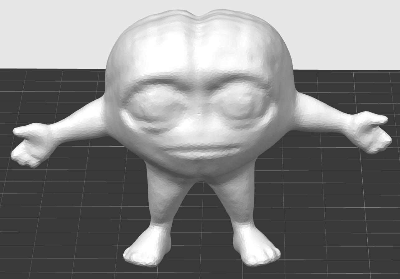 Brain