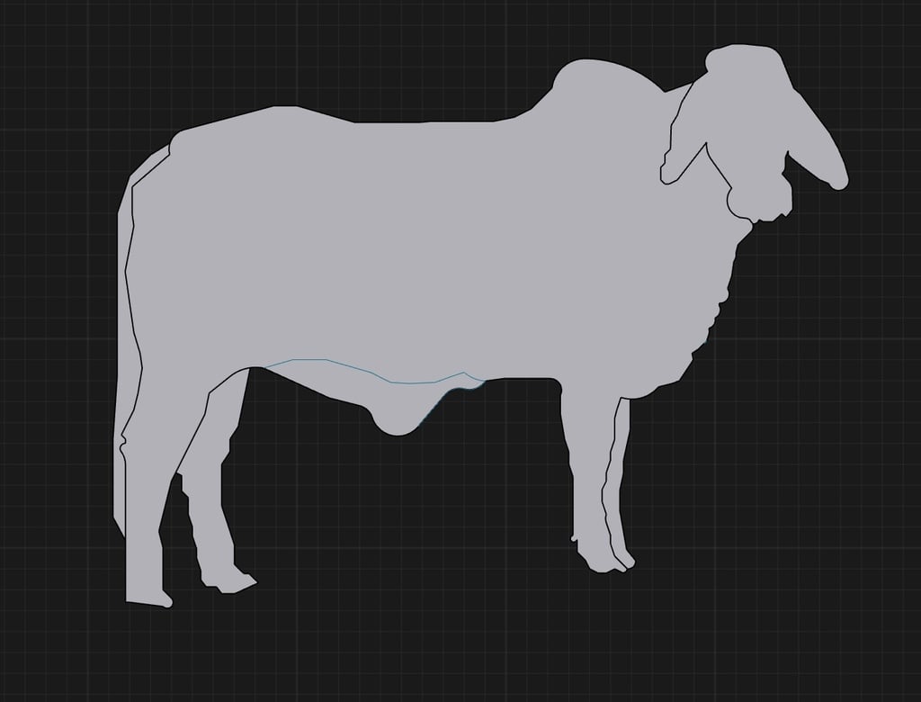 Brahman Keychain