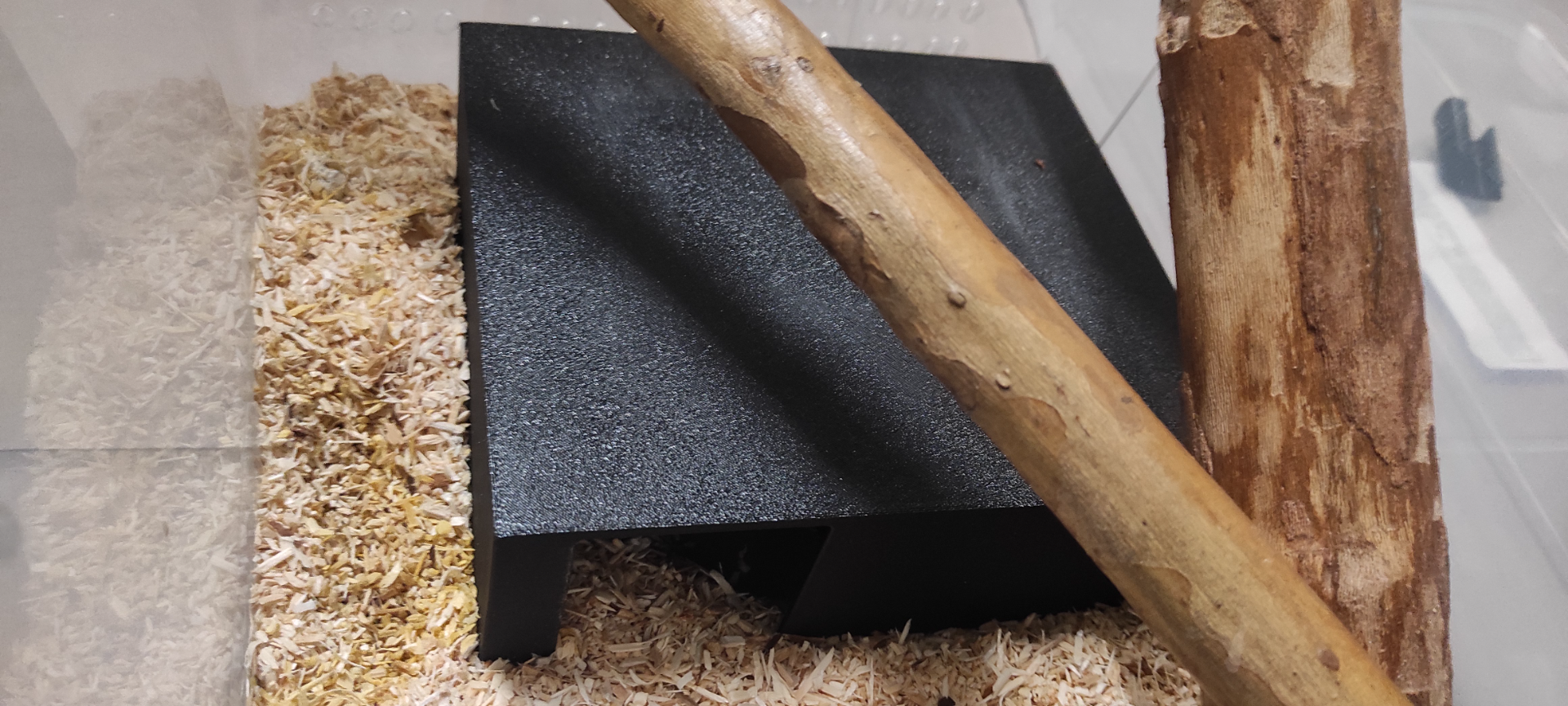 tana serpenti snake hide    170mm x 150mm
