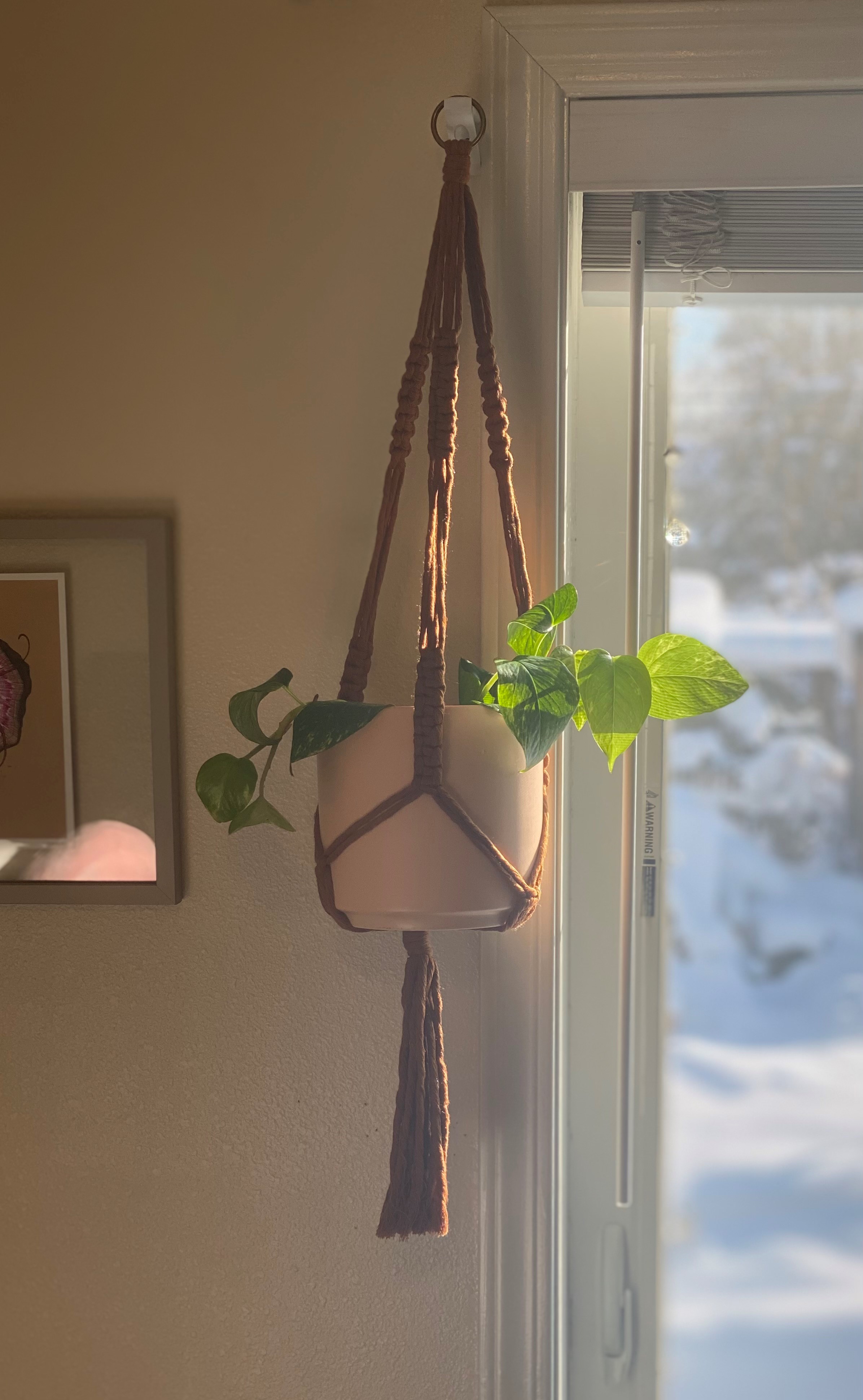 Wall Hook
