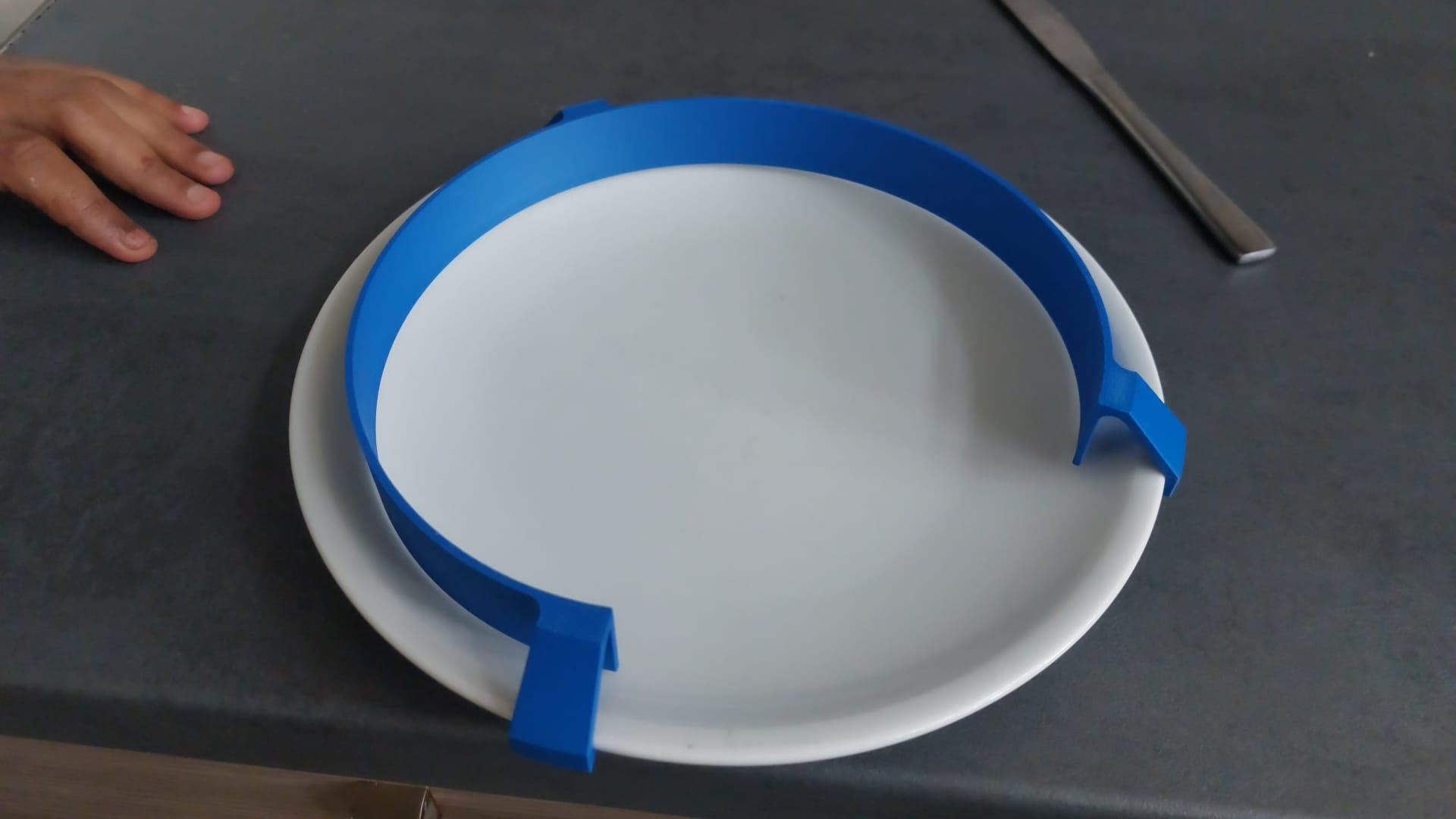 Food guard / Tellerranderhöhung