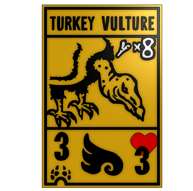 Turkey Vulture