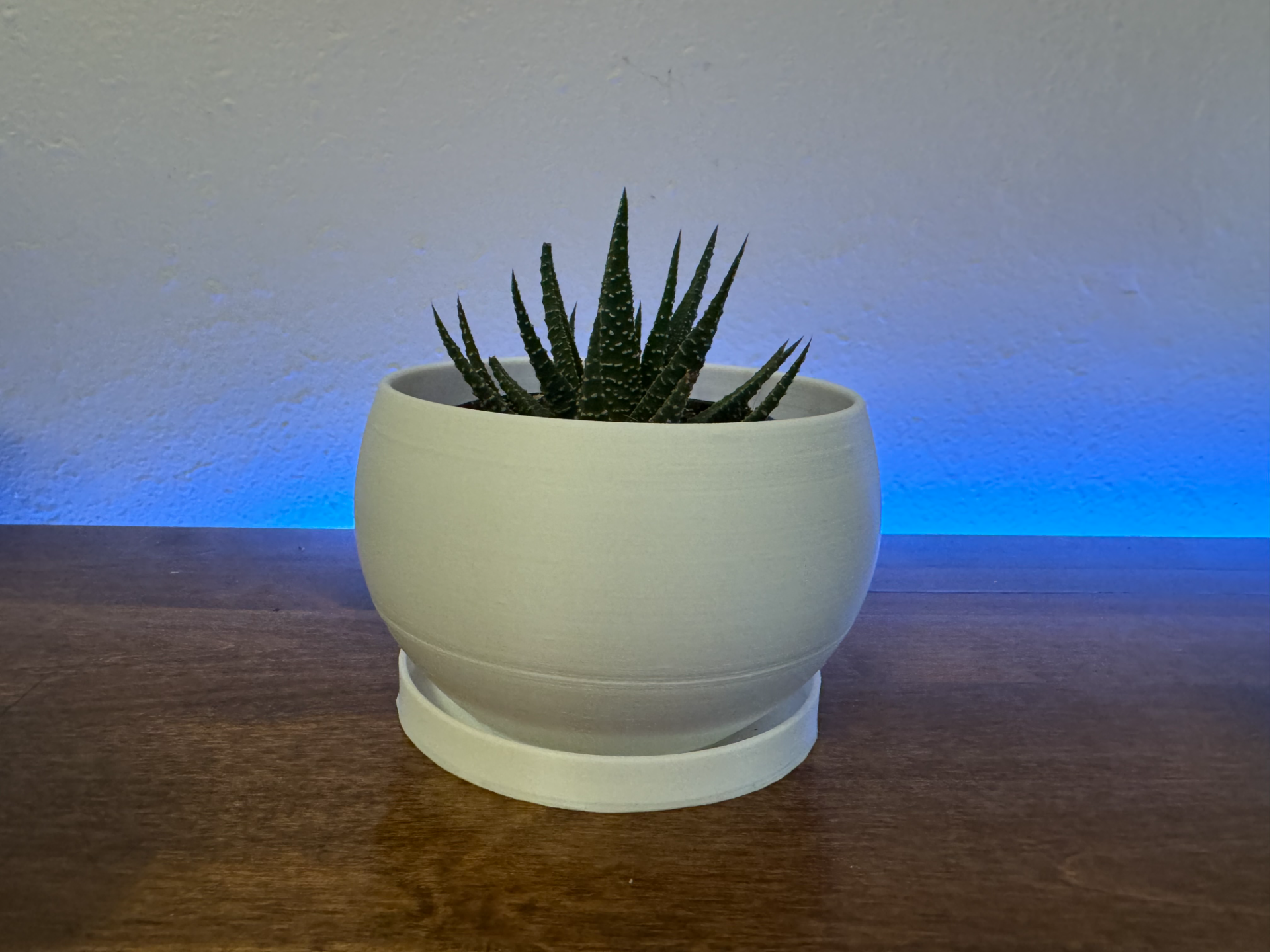 Succulent House Plant Pot