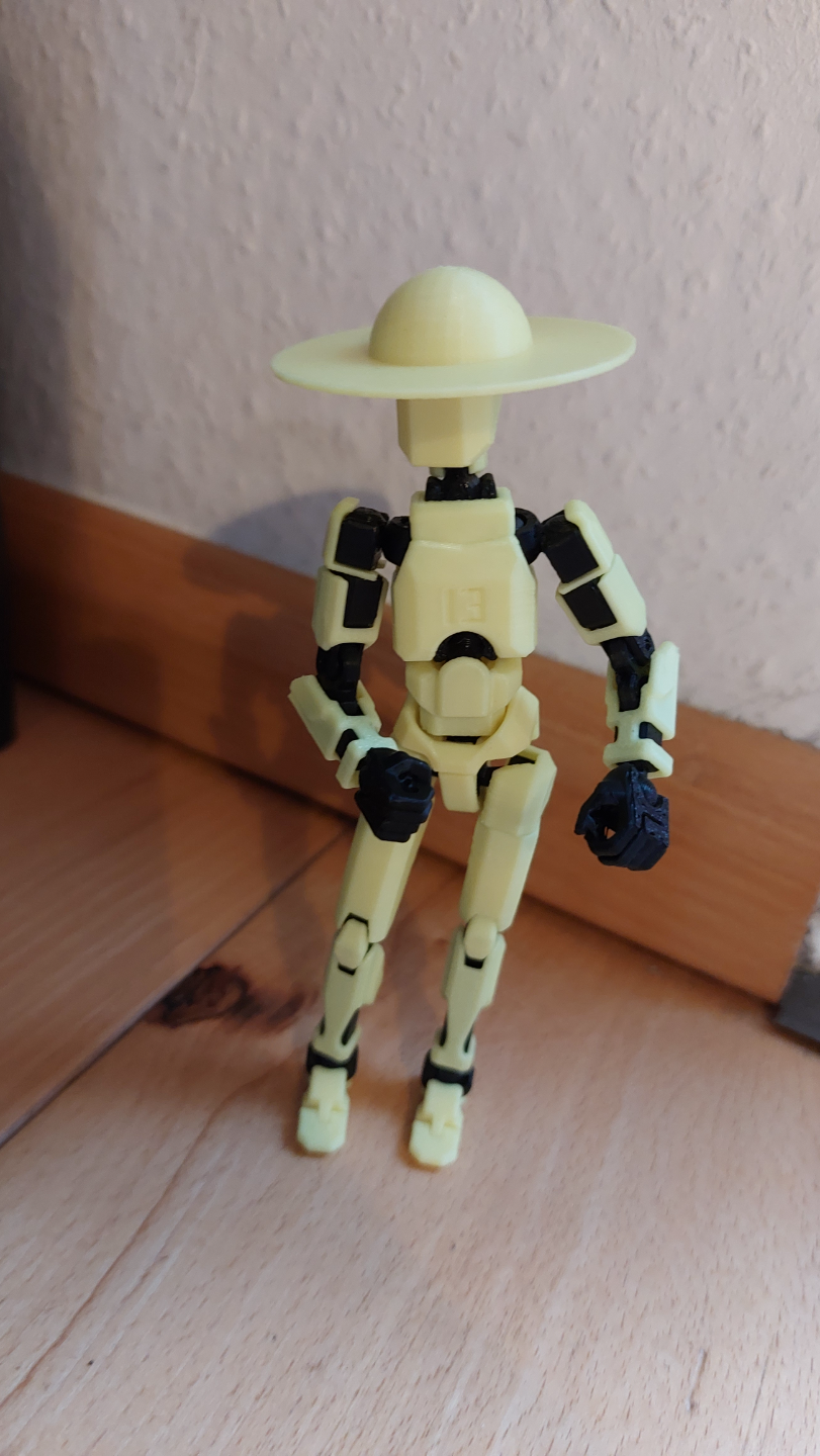 Sunhat for Dummy13
