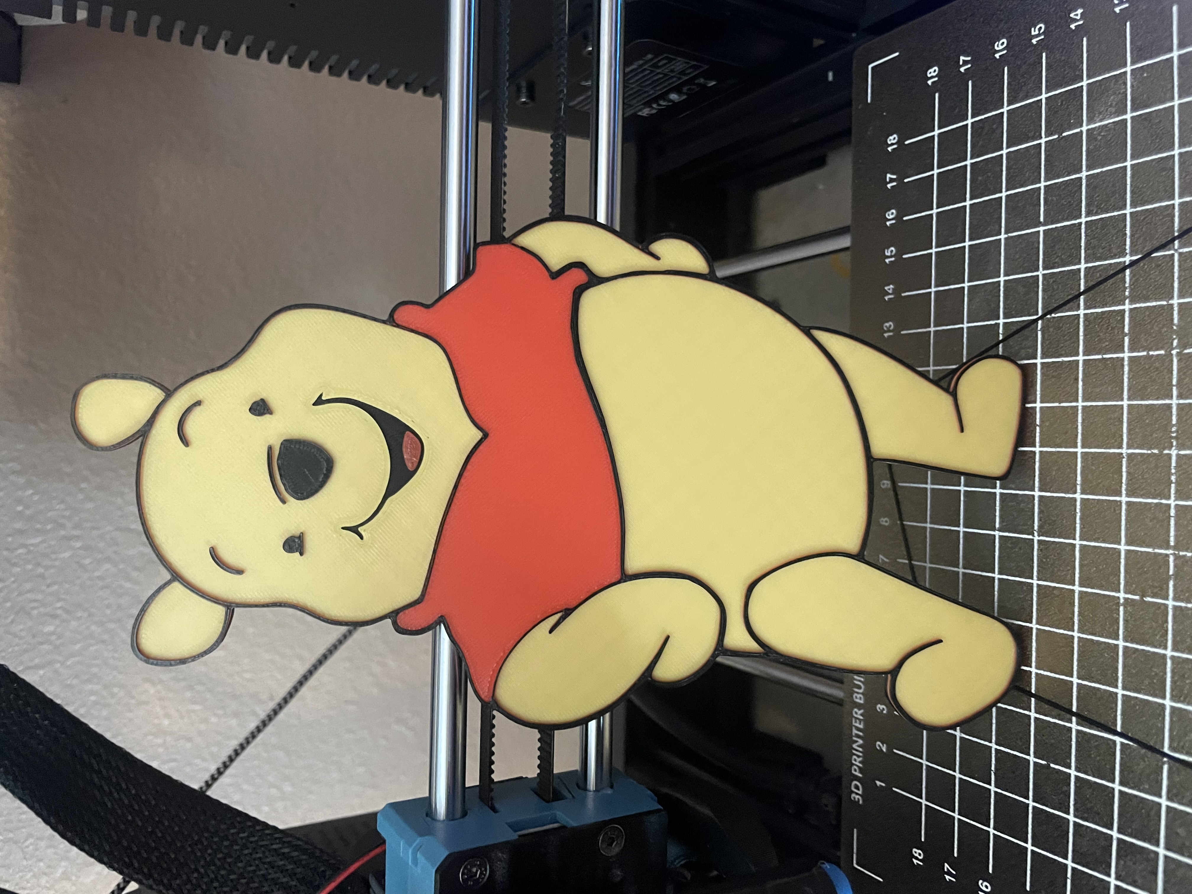 2D Winnie The Pooh - Multi Color