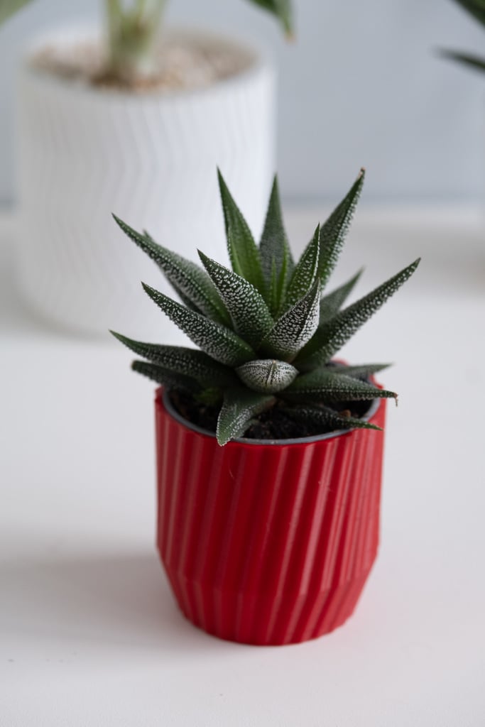 LINES flowerpot