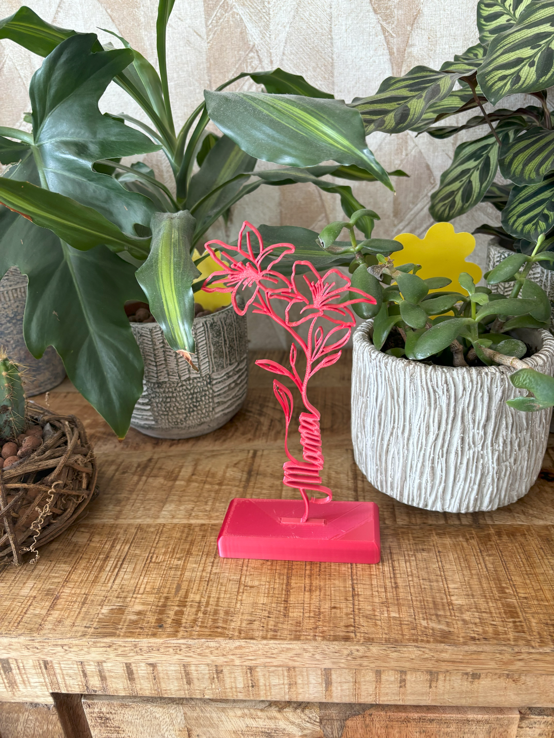 Mother's Day flower (crocus) gift