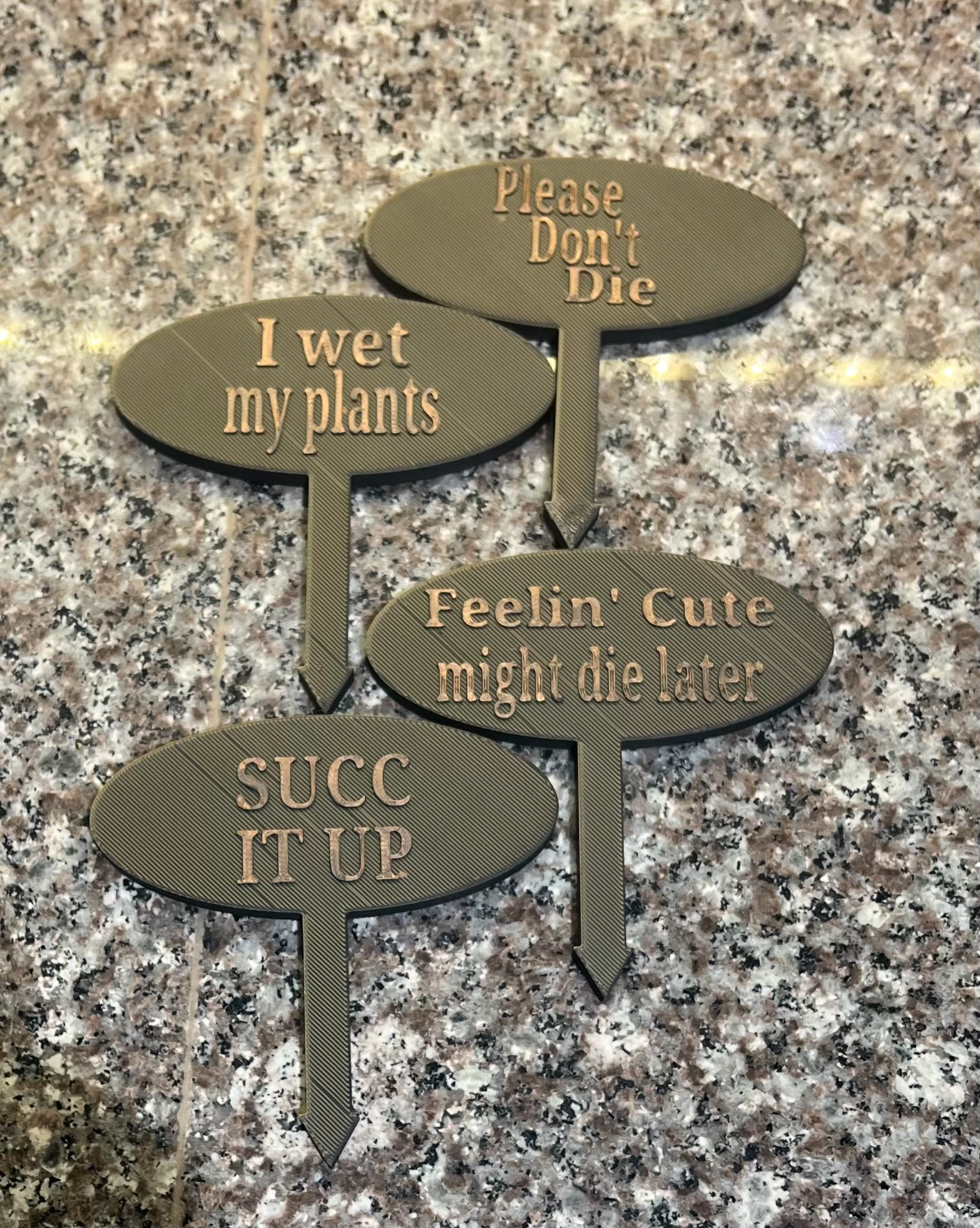 Cute Succulent Plant Signs