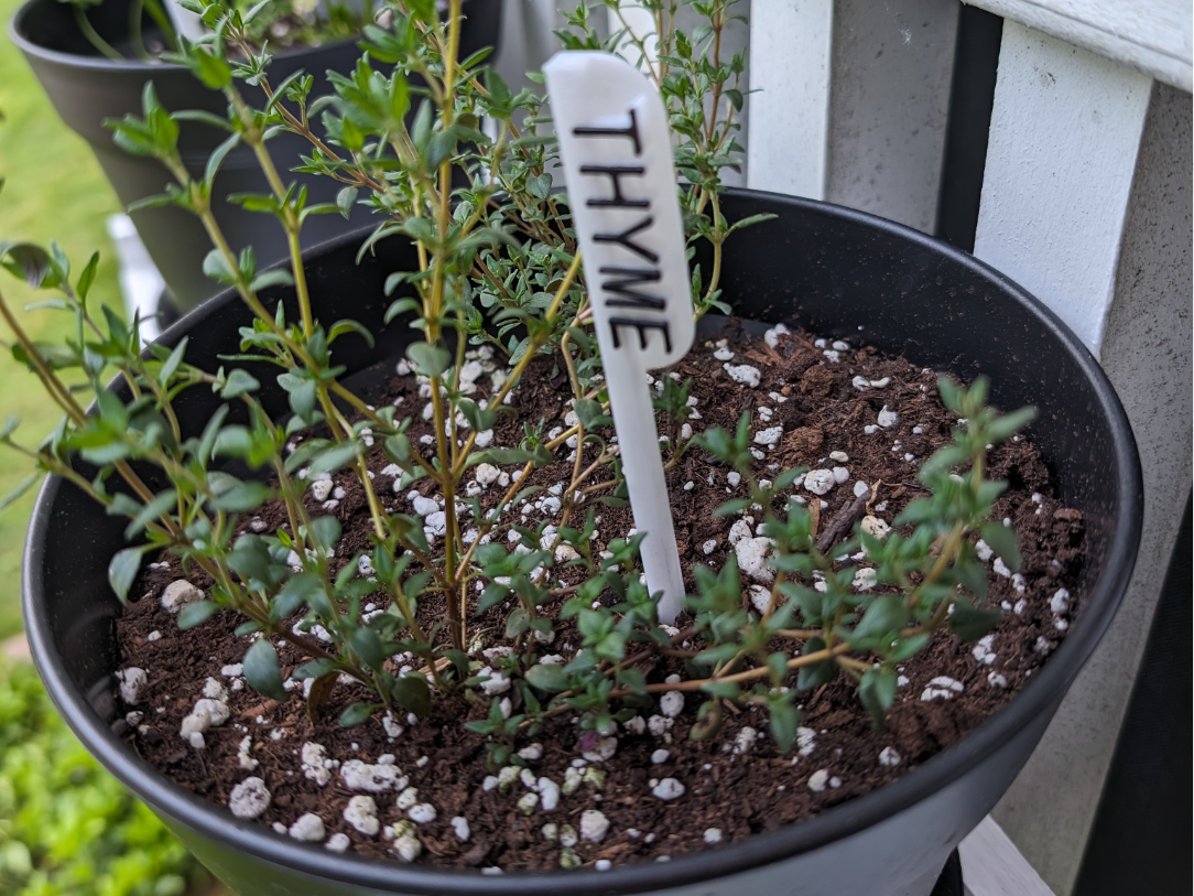 Sleek Garden Plant Signs