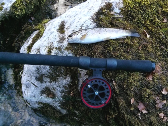 Fishing Reel
