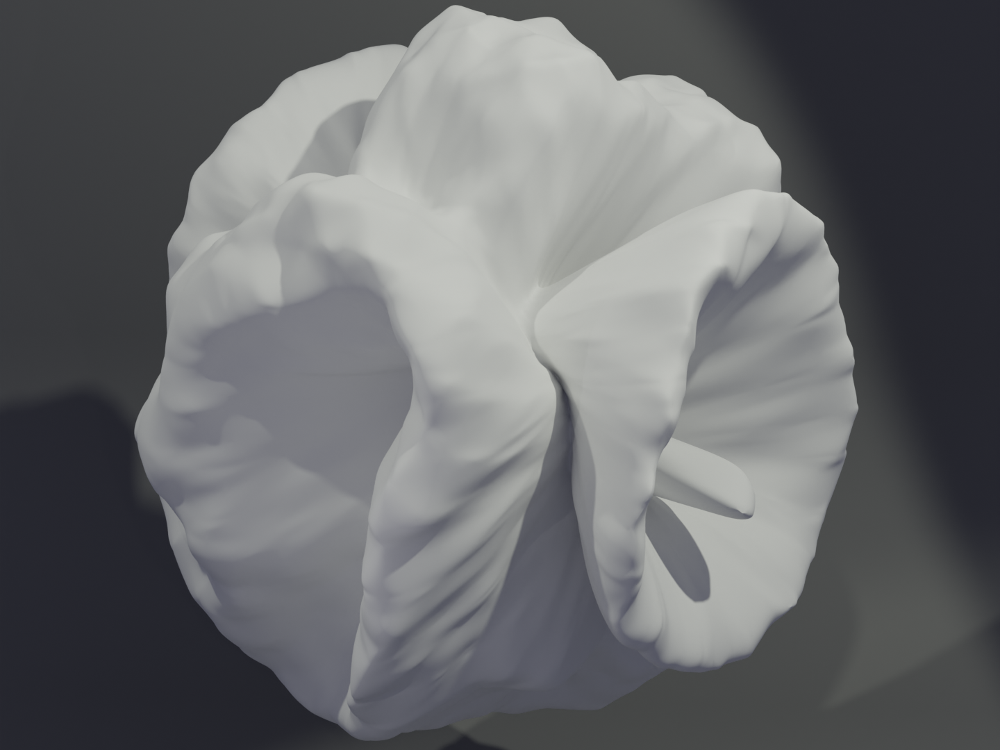 Organic shape 1