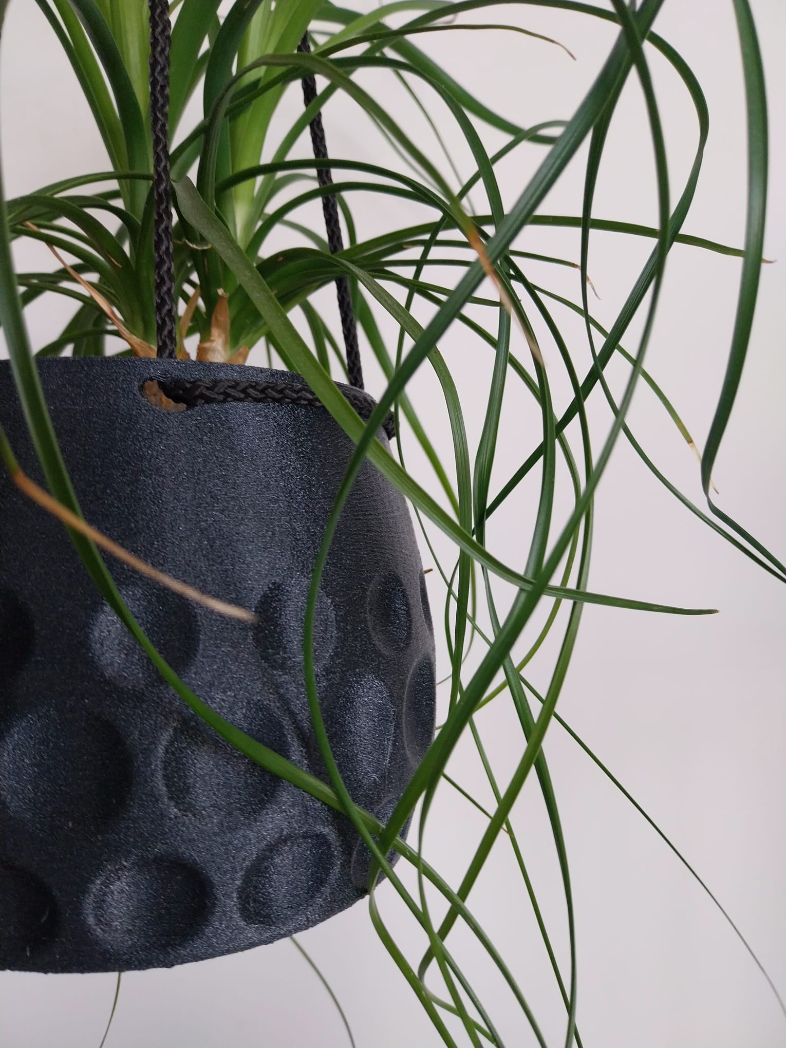 Textured Circular Hanging Flower Pot