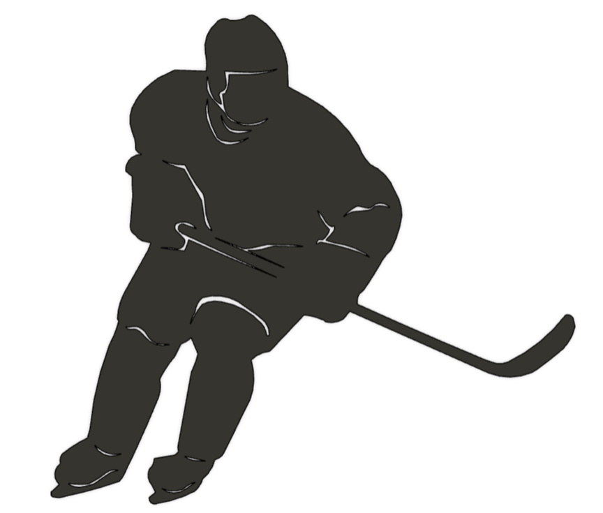 Ice hockey player