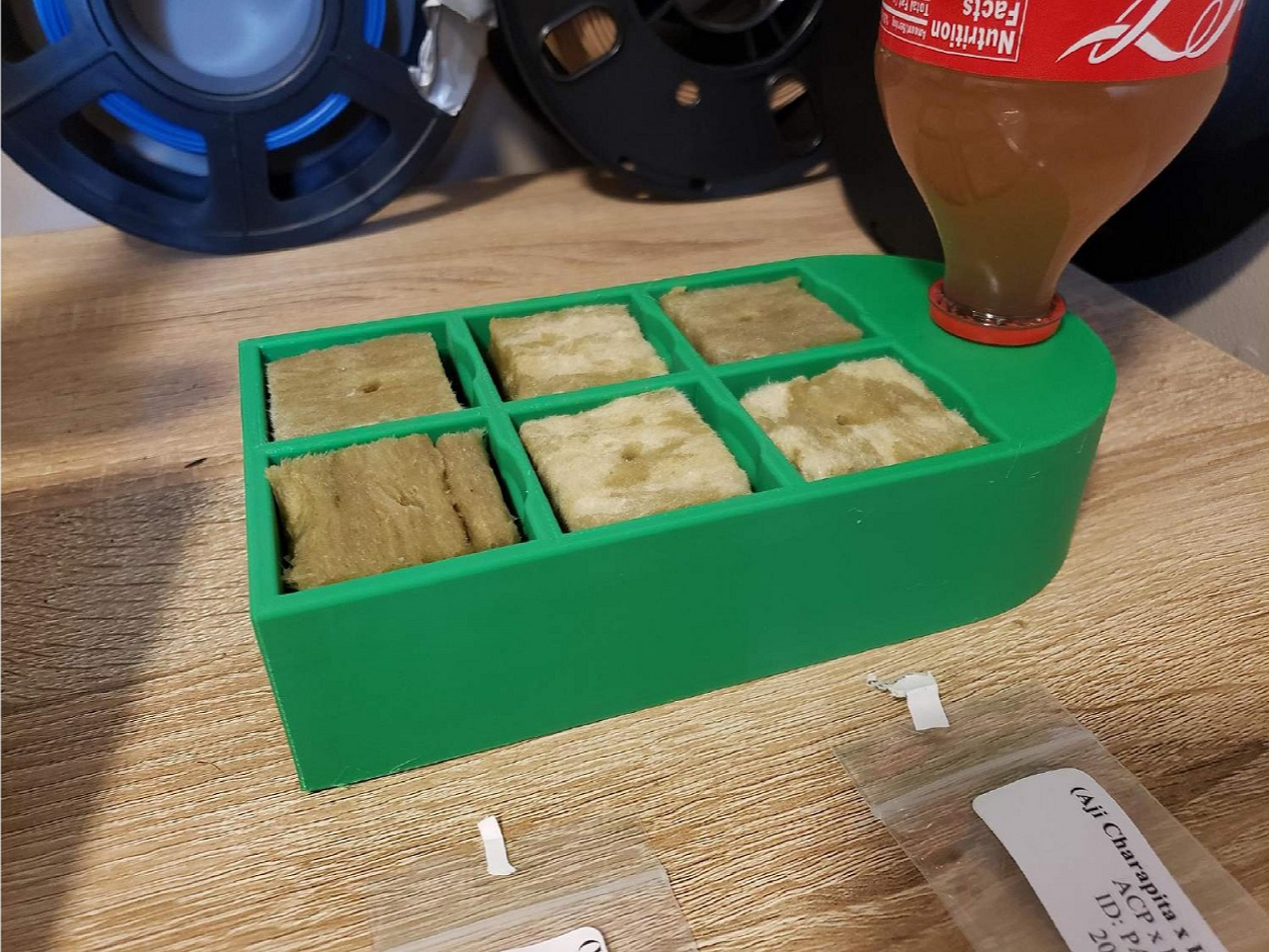 Rockwool seed starter