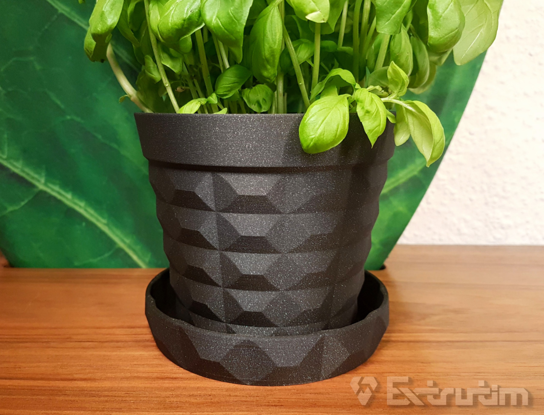 Flower Pot | Planter With Saucer