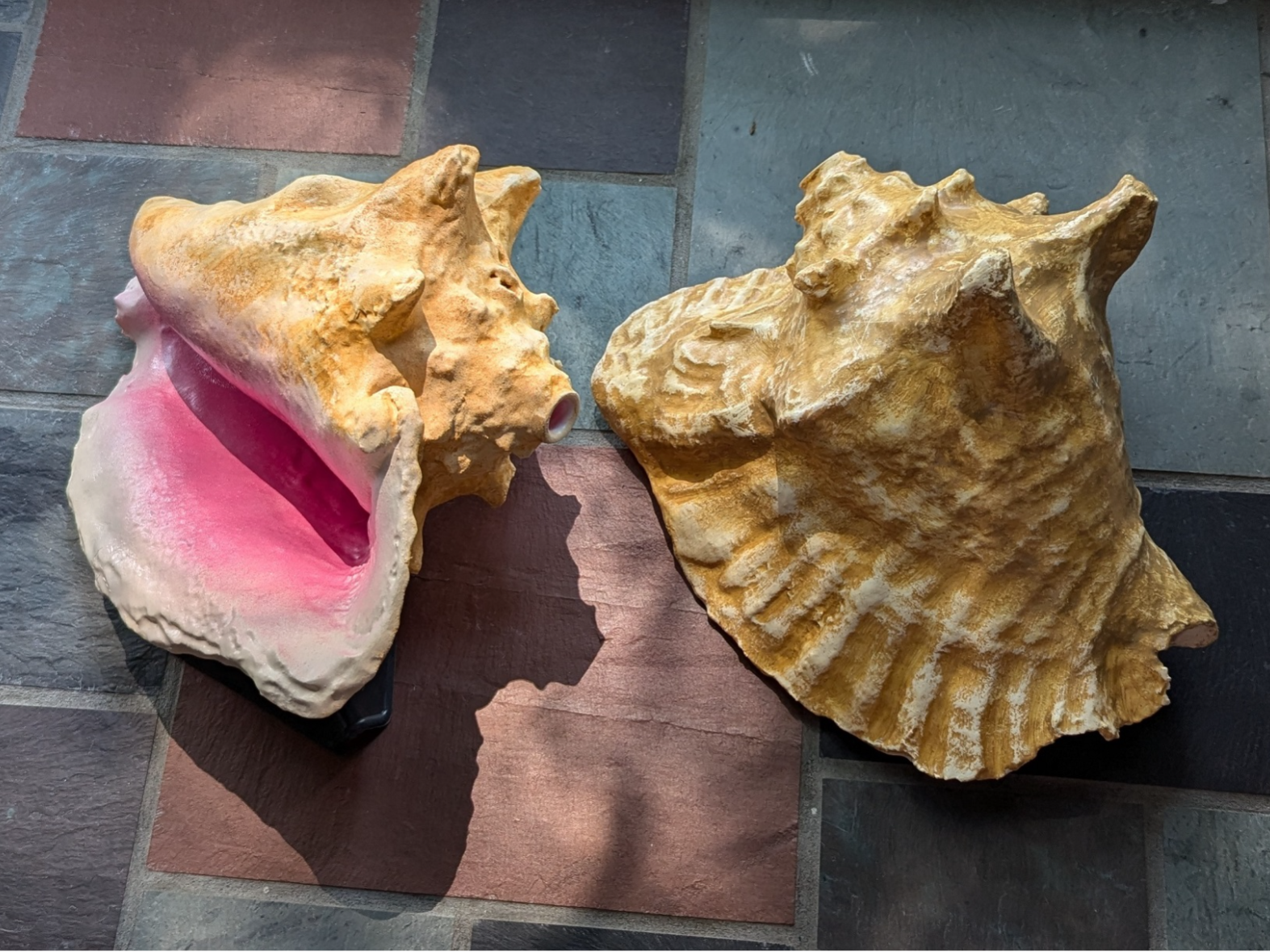 Conch horn