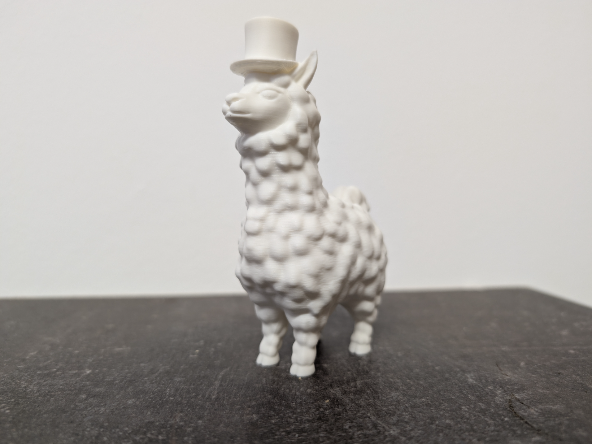 llama with hat