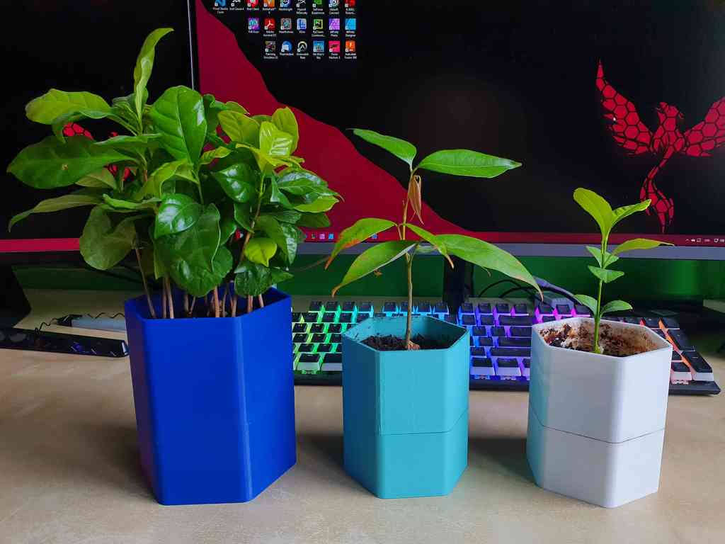 Hex Pot - self-watering flower pot