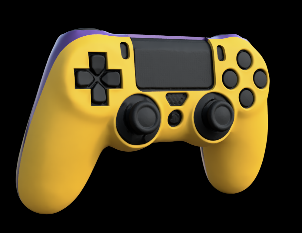 PS4 controller case no personalization
