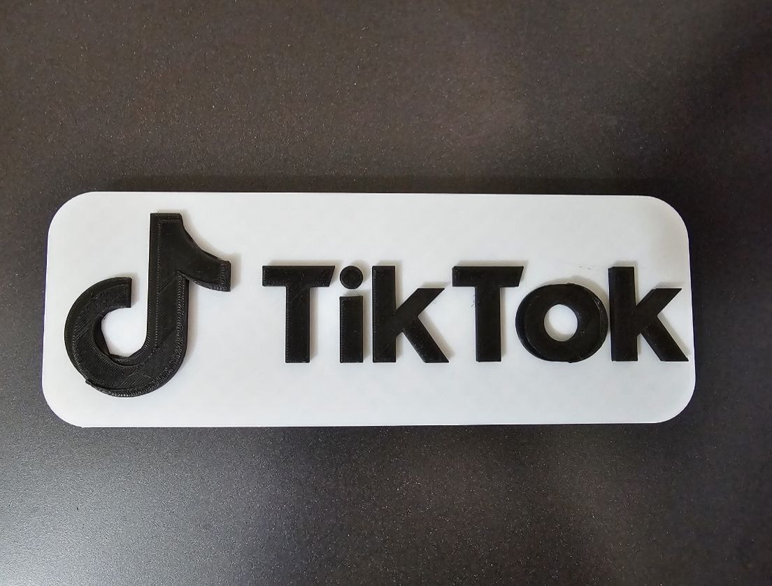 3D Decor Mountable TikTok Logo