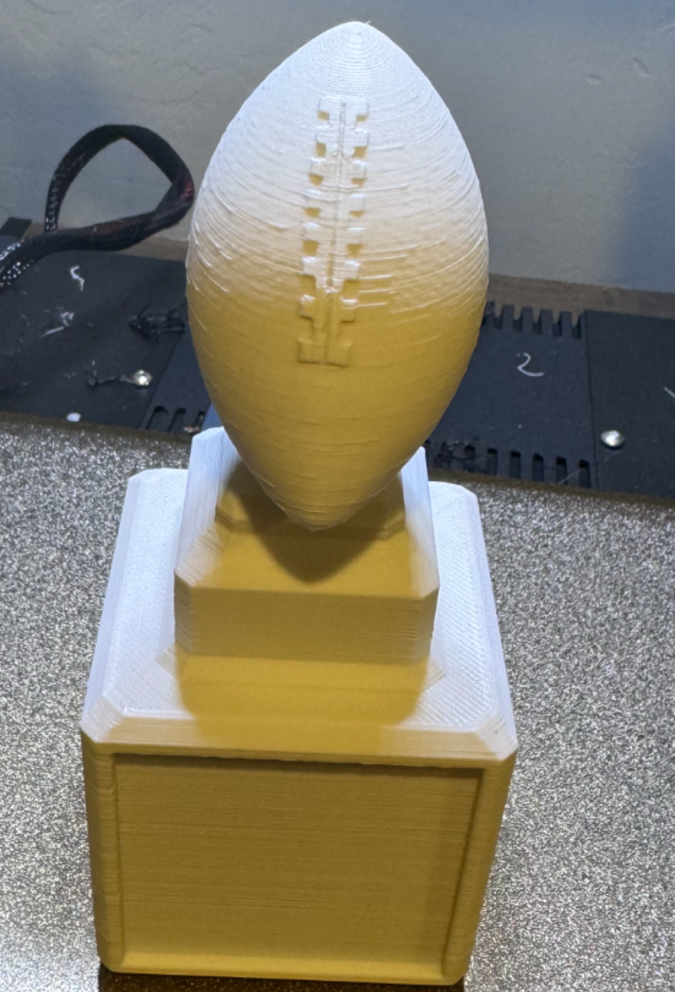 Fantasy Football Trophy