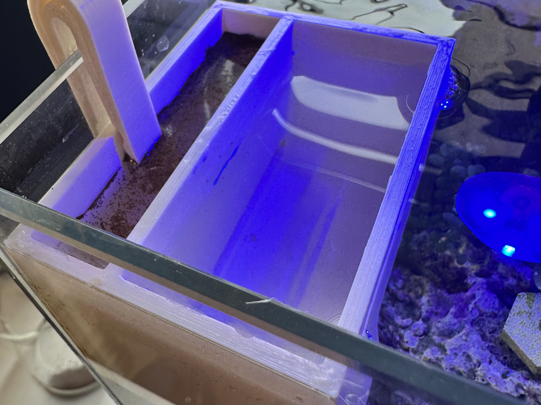 Brine Shrimp Incubators