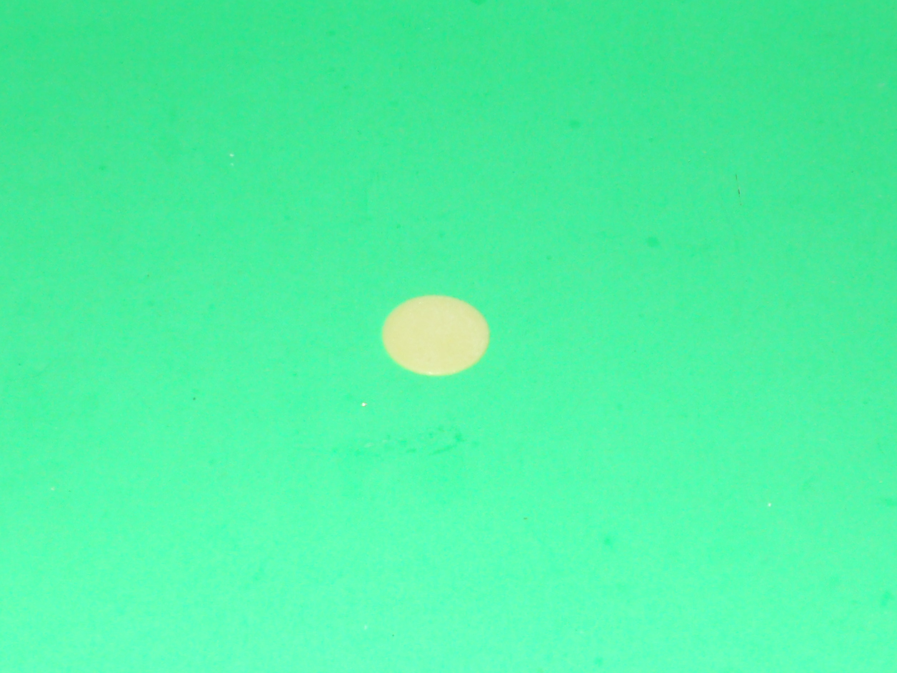 Anti-warping Disks