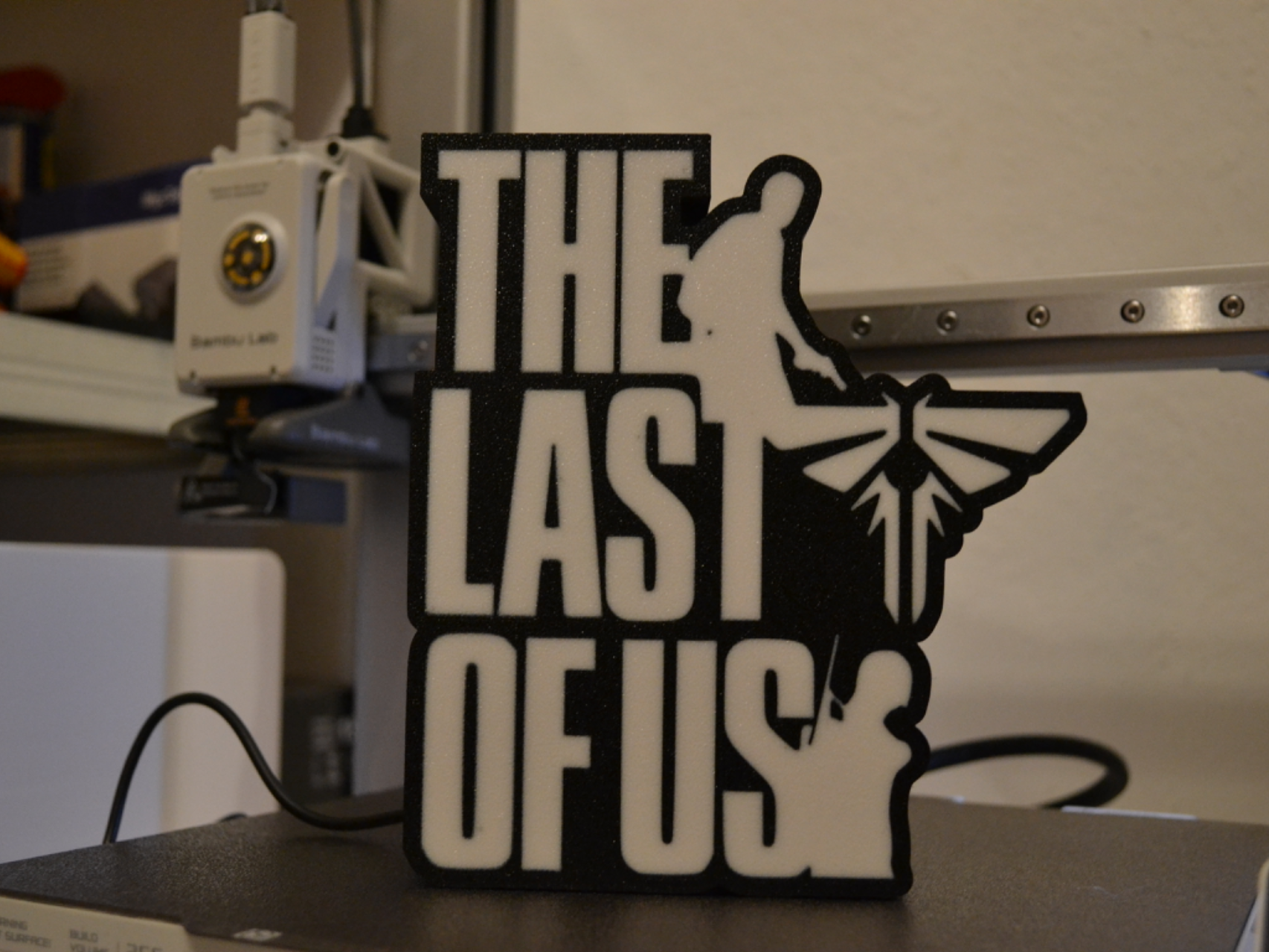 The Last of Us Lightbox