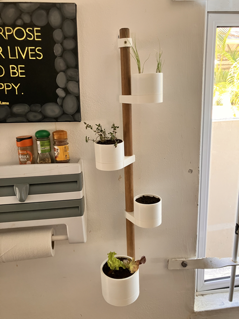 Small Space Vertical Planter for Herbs and More