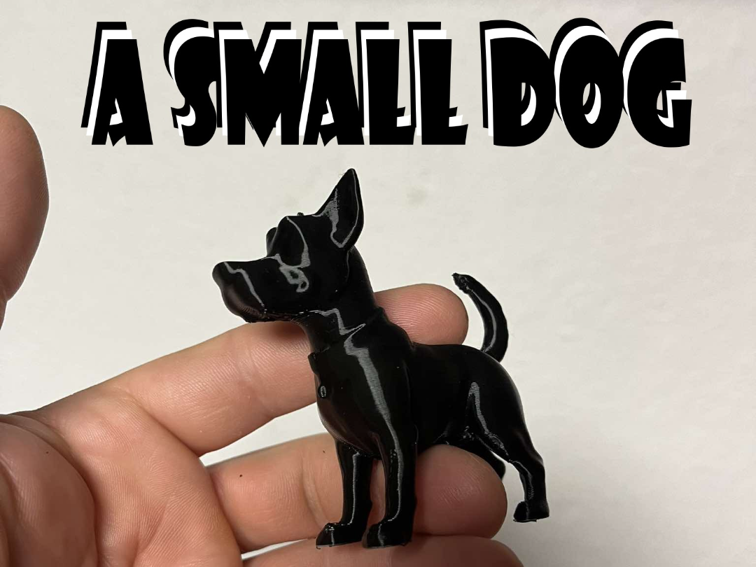 A small dog