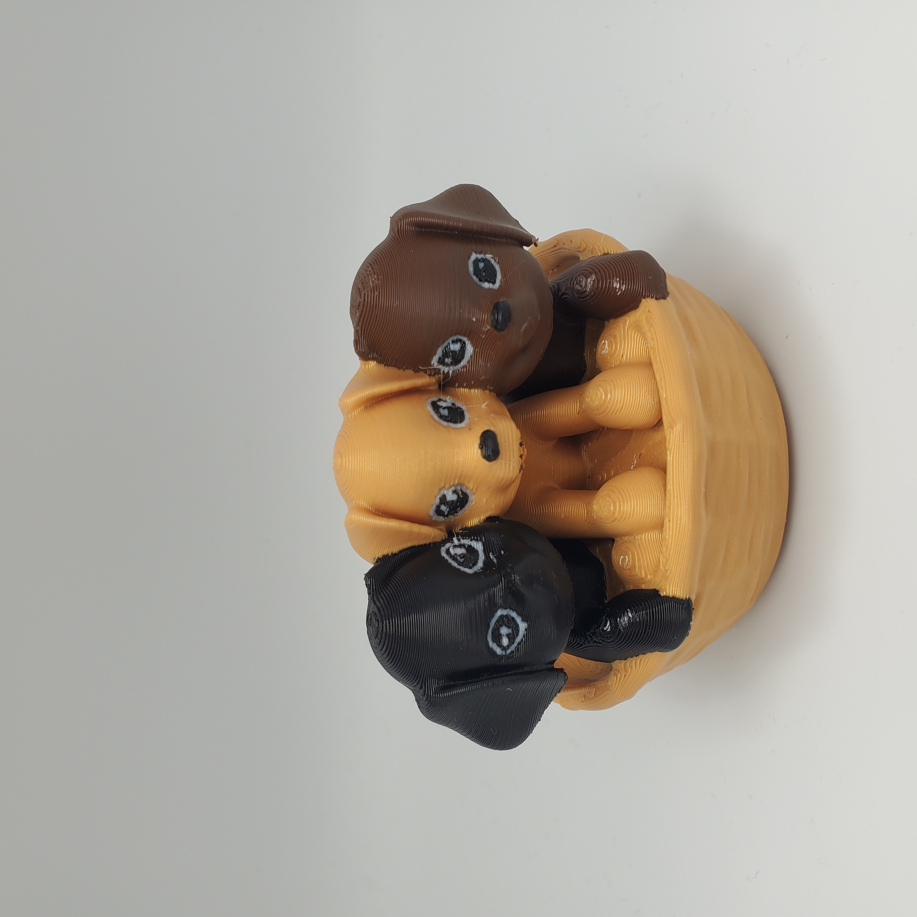 Pups in a Basket