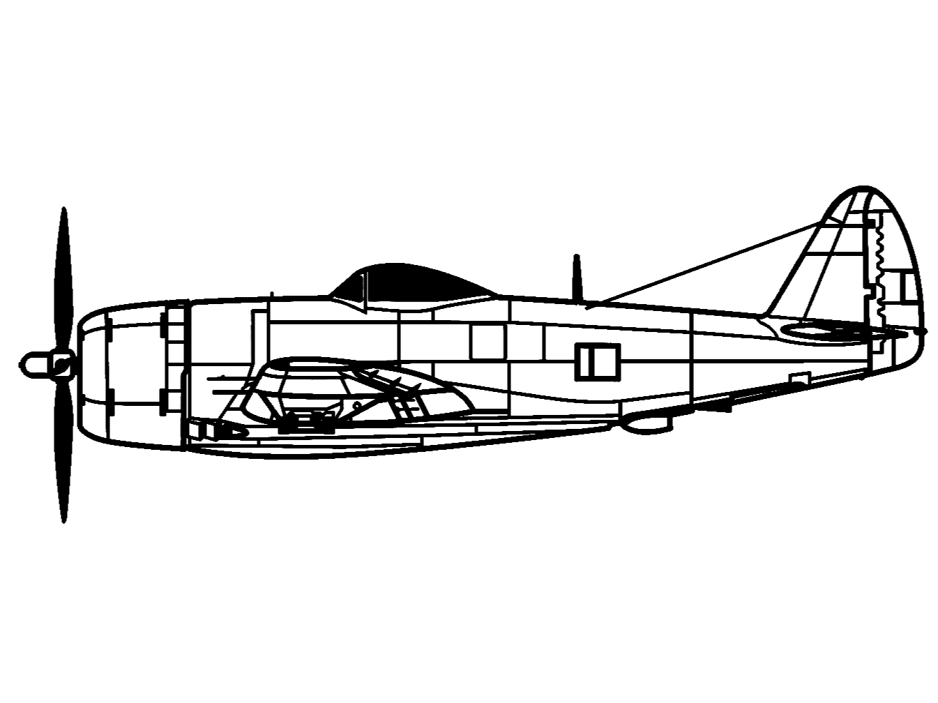 P-47 Thunderbolt Wall Art