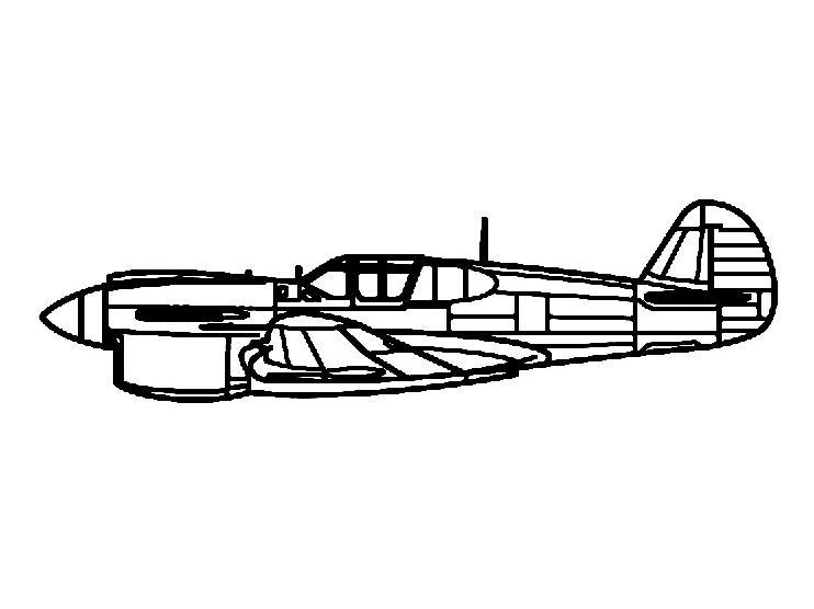 P-40 Warhawk Wall Art