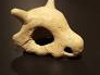 cubone