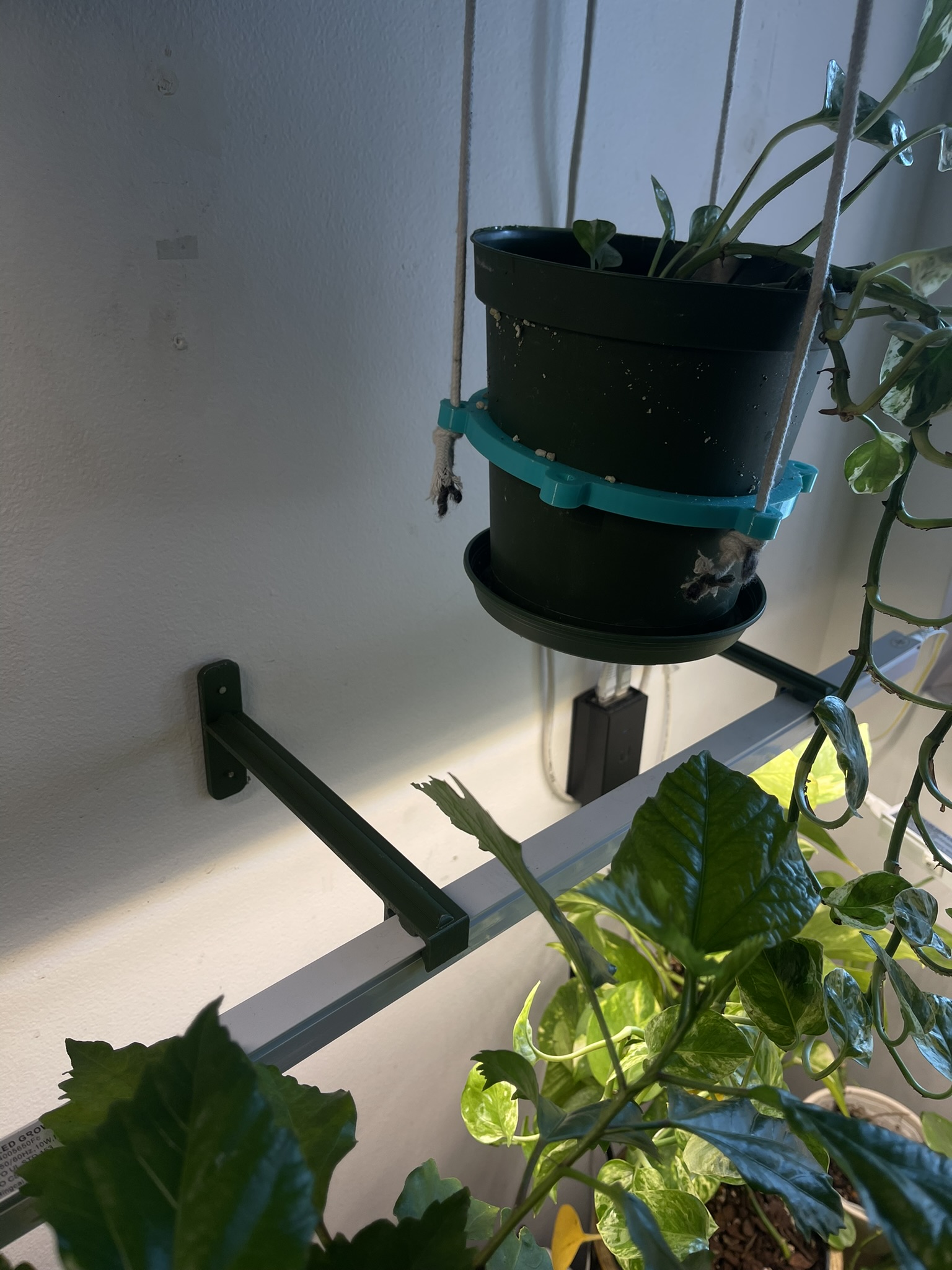 T5/grow light/shop light hanger