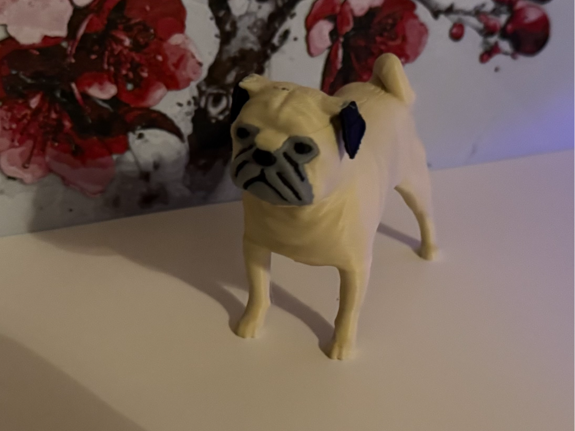 Pug