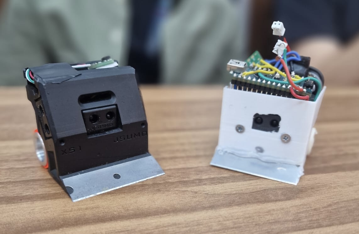 David Popovici Micro Sumo