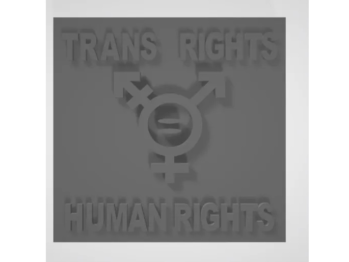 Trans Rights = Human Rights