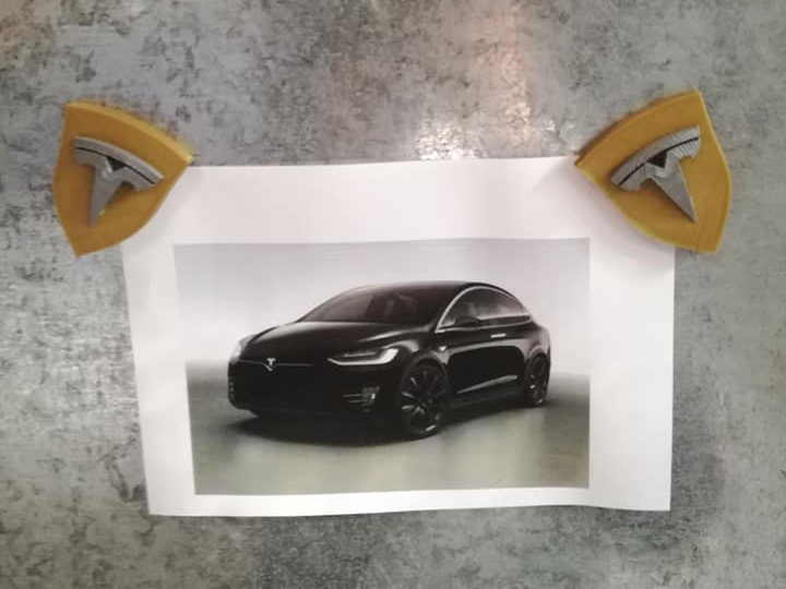 Tesla Logo Magnet